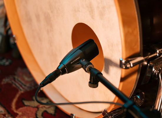Sennheiser MD 421 KOMPAKT Studiomikrofon