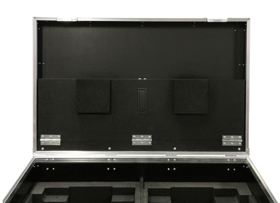 Case für 2x Robe Robin Pointe, ROADLINE