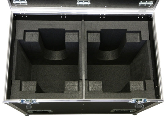 Case für 2x Robe Robin Pointe, ROADLINE
