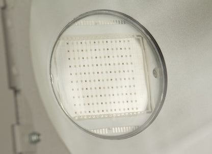 BriteQ LDP-COBWASH 150TC LED Outdoor Fluter